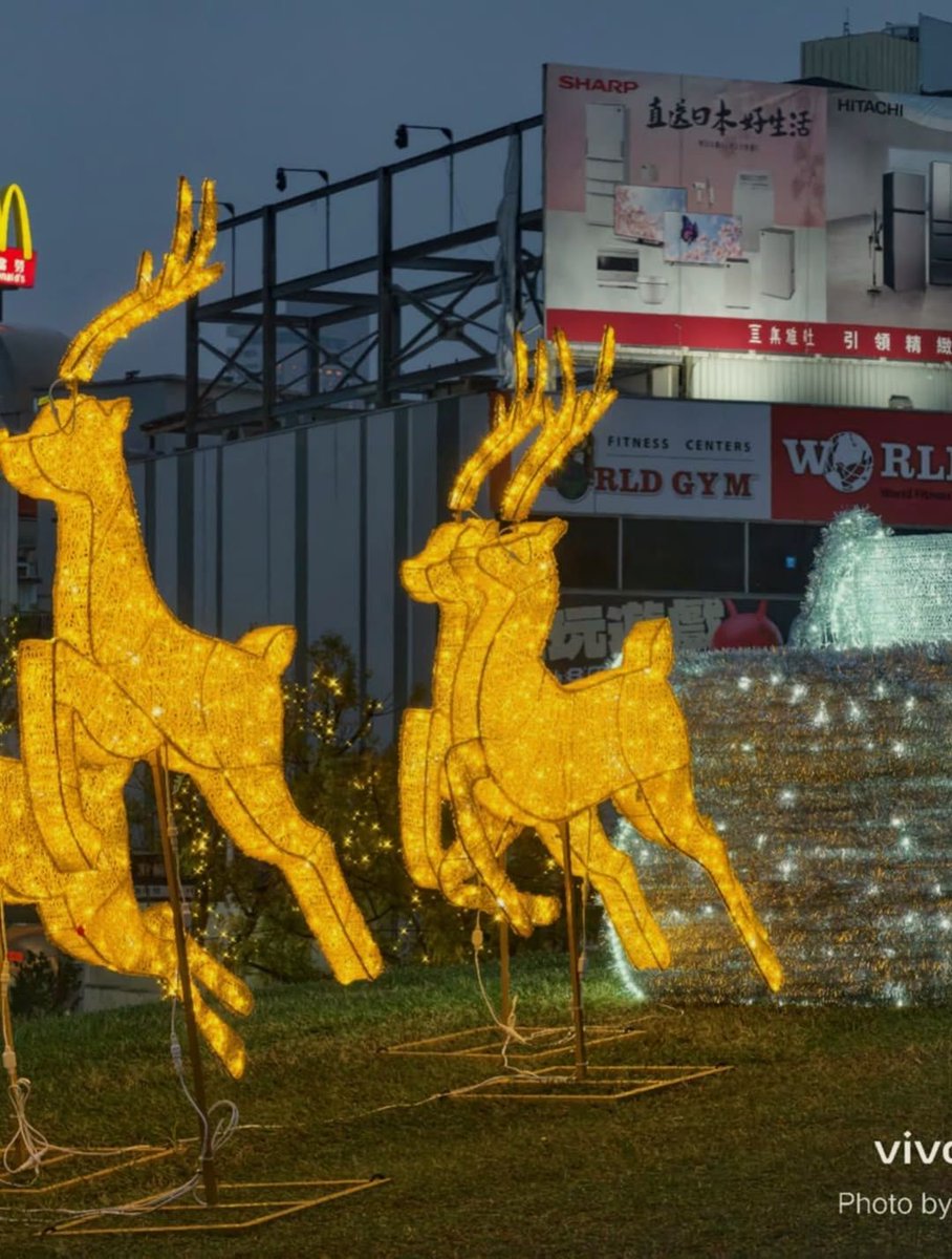 烤鸭爱好者绝不能错过！这滋味简直让人欲罢不能。