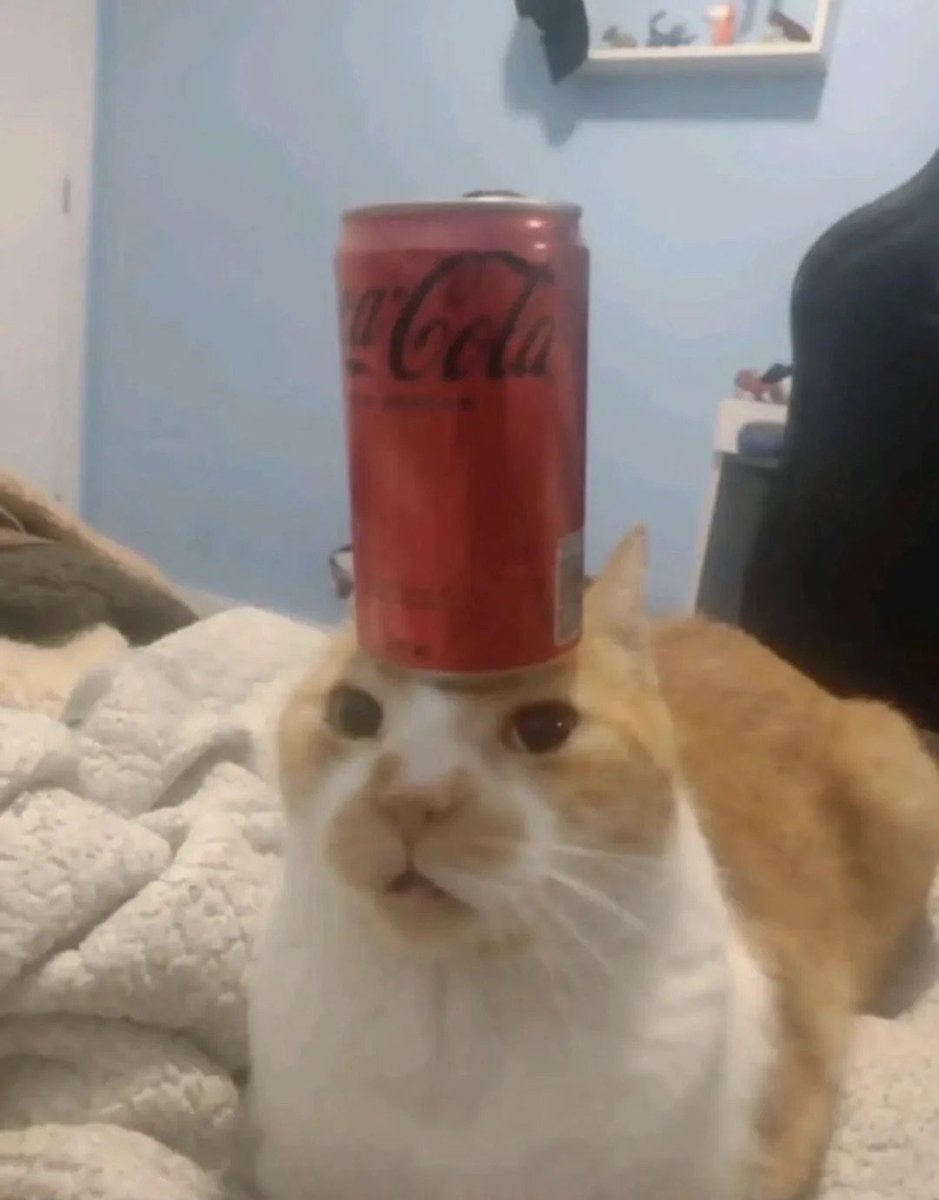 Shy-Shen tweet media