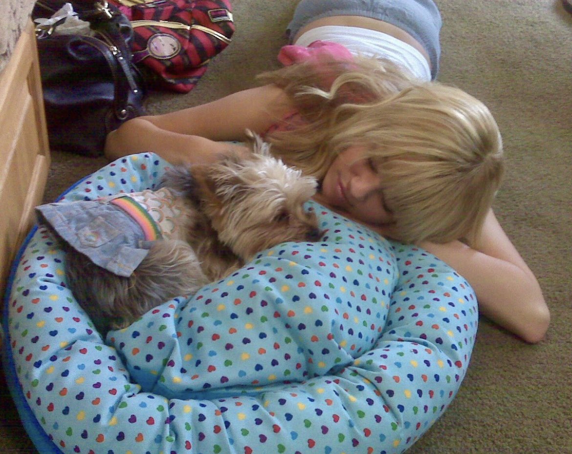 Fame Daily Hub tweet media