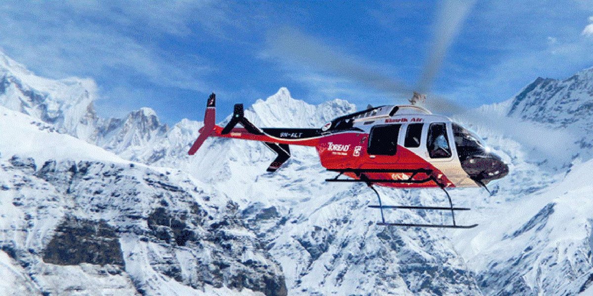 Alerta Mundial tweet media