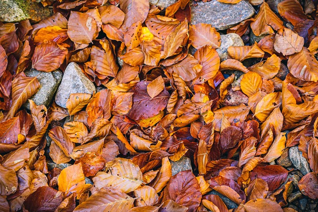 Kara Cooper tweet media