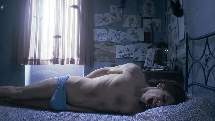 Cinematografia Queer tweet media