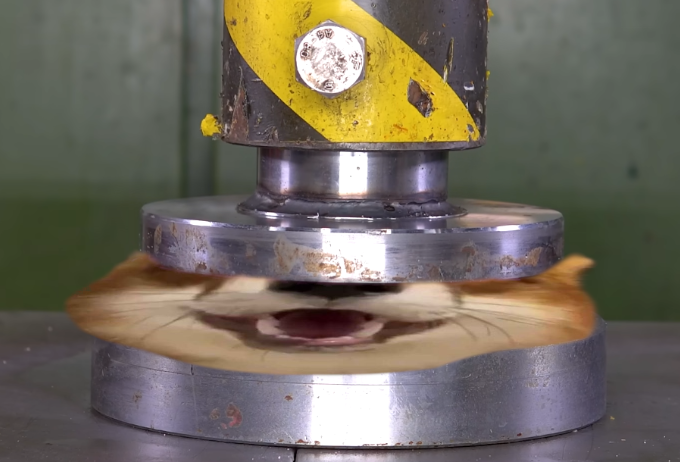 Izzy Gote 🐐 tweet media