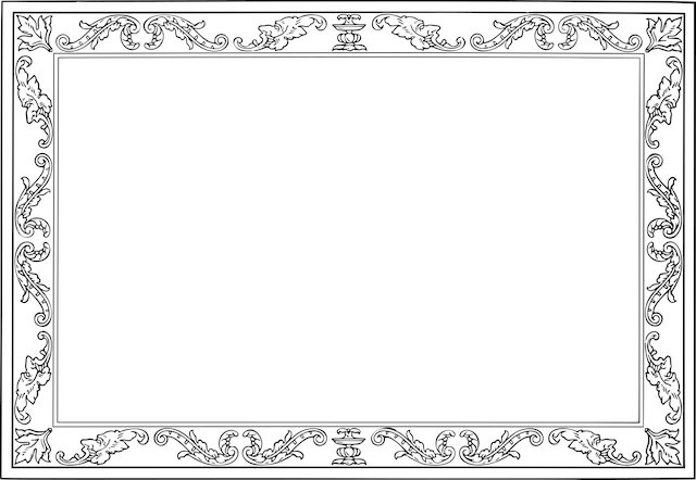 Shannon Ward tweet media