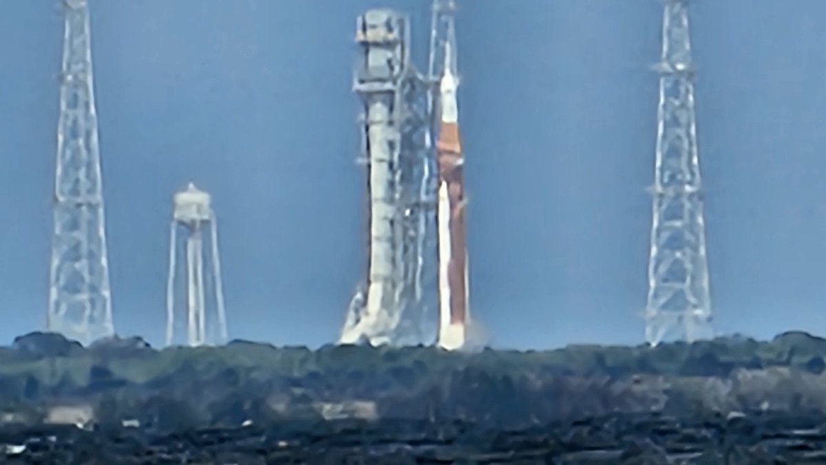 Papagolash tweet media