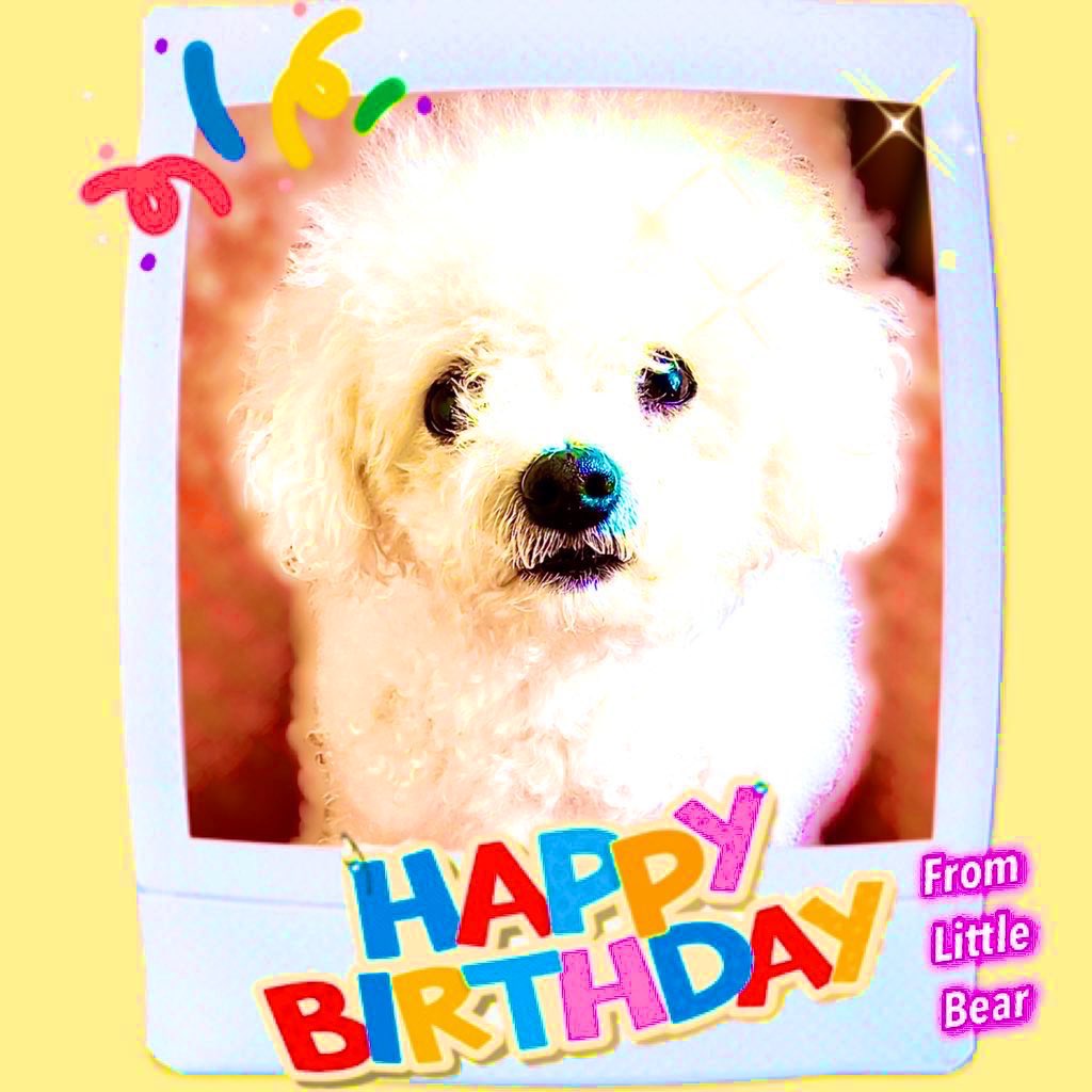 Little Bear tweet media