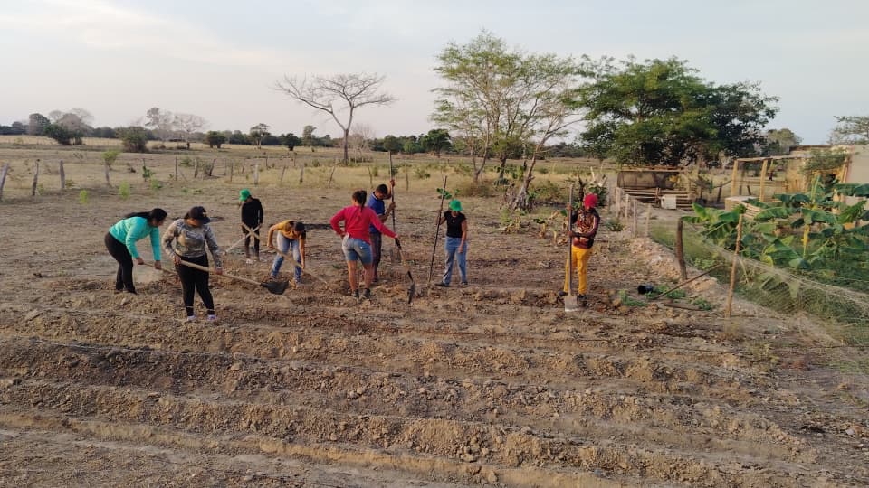 FAO VENEZUELA tweet media