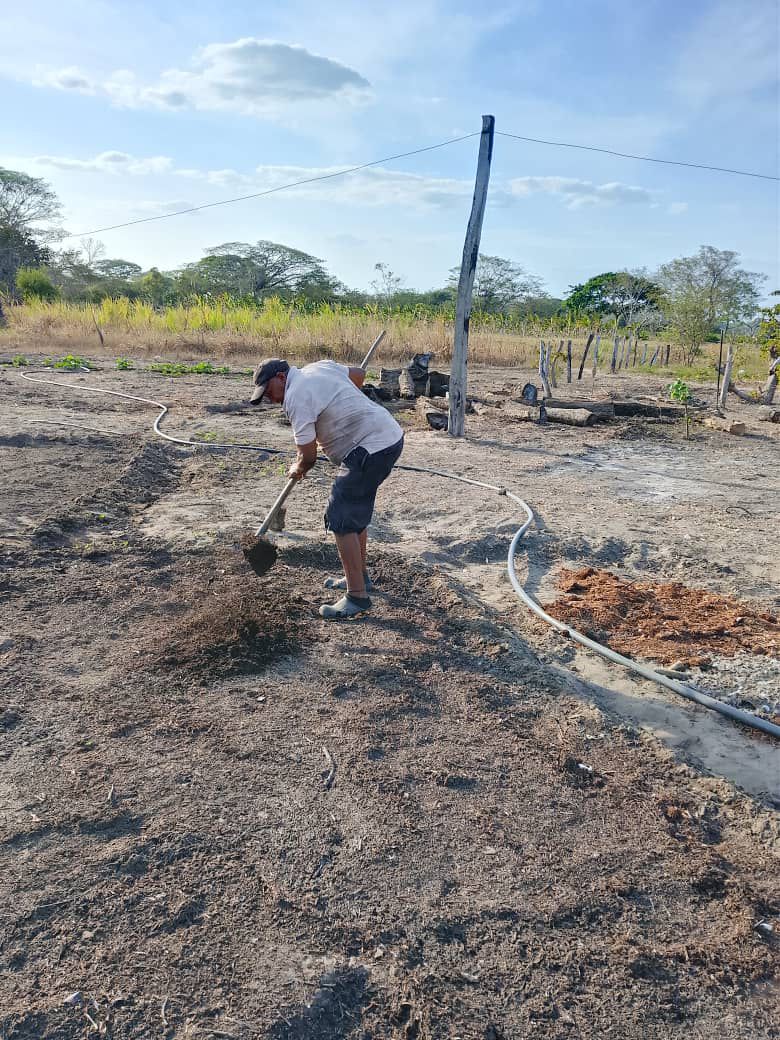 FAO VENEZUELA tweet media