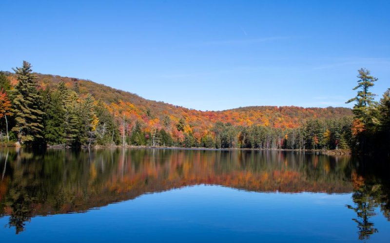 Lee Serravillo tweet media