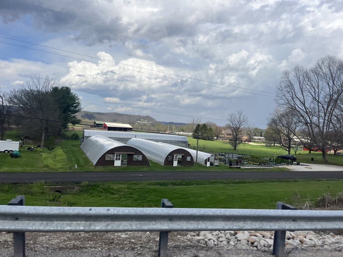 Thomas Massie tweet media