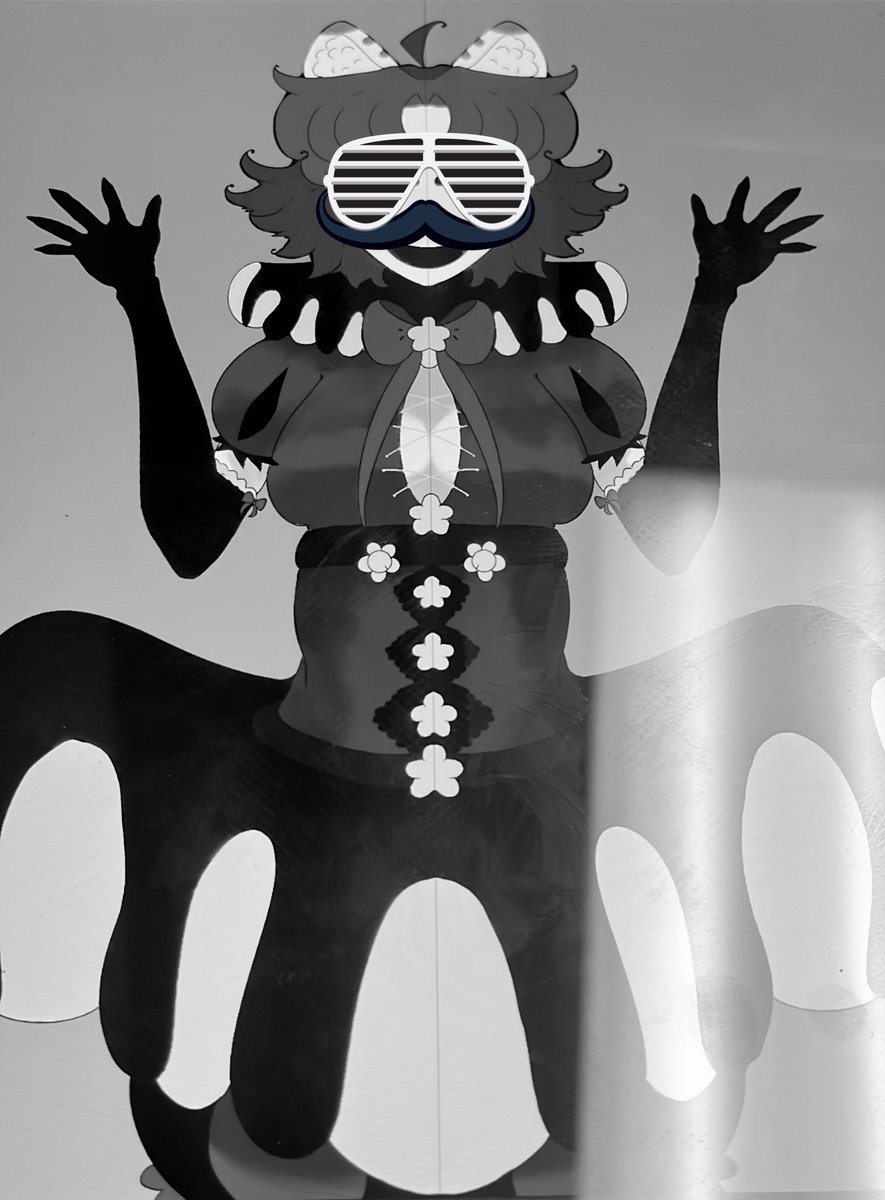 Calytrix tweet media