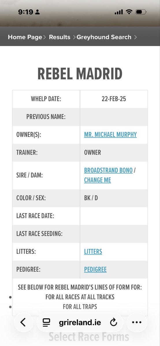 Billy McMahon tweet media