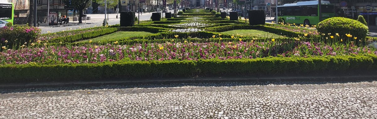 Luis Cordero tweet media