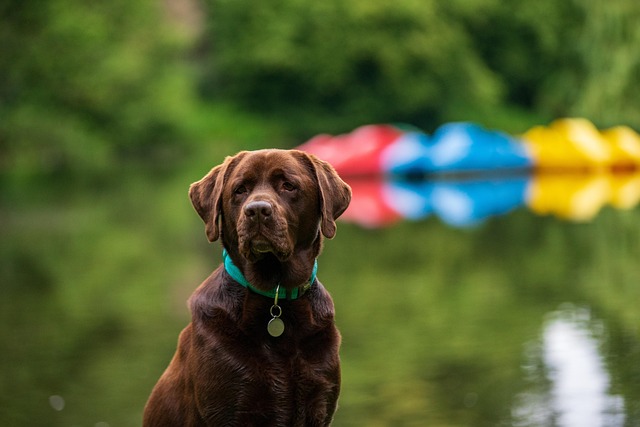 Sarah Ward tweet media