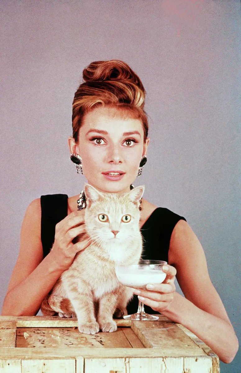 Remnants of the Past tweet media