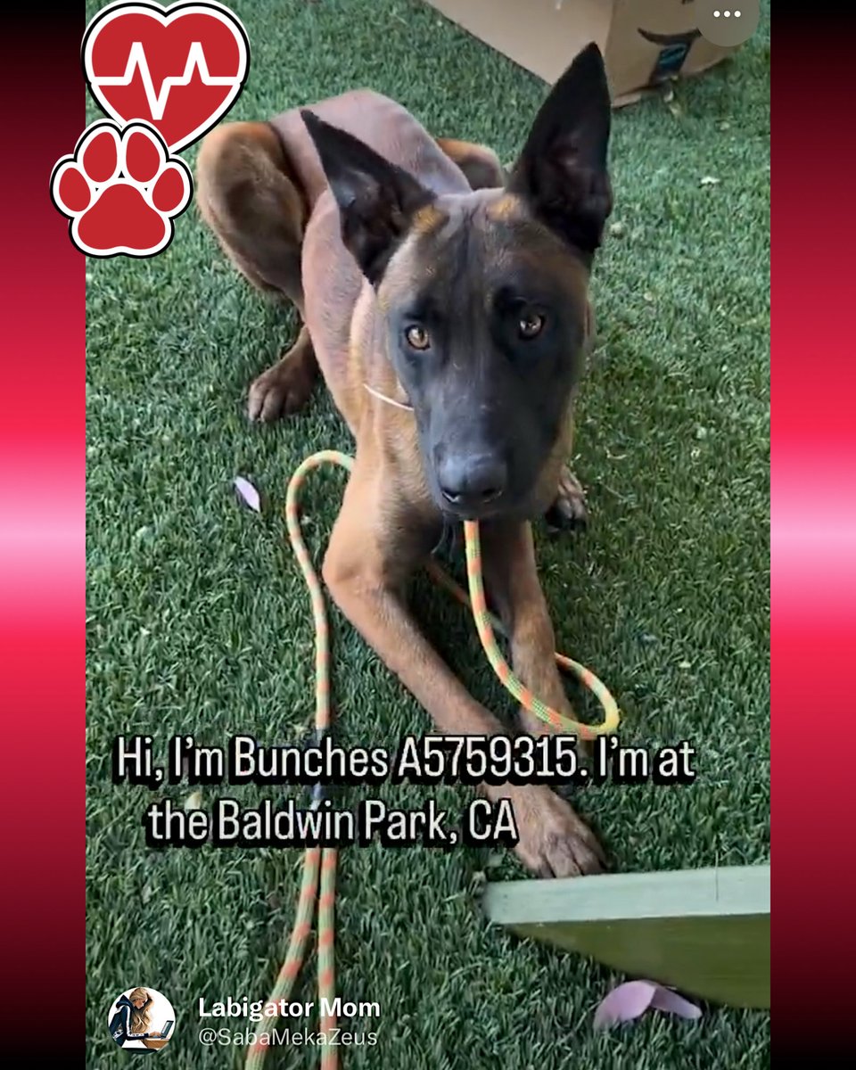 Malimum 🇩🇪 tweet media