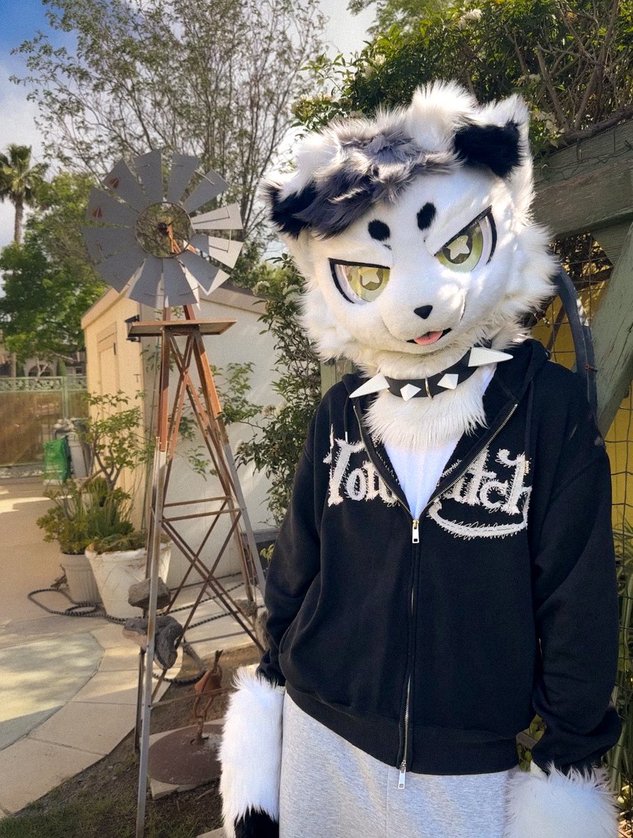 wurmo 🔜 LVFC tweet media