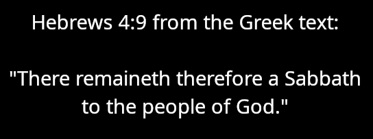 Tim Coucke tweet media