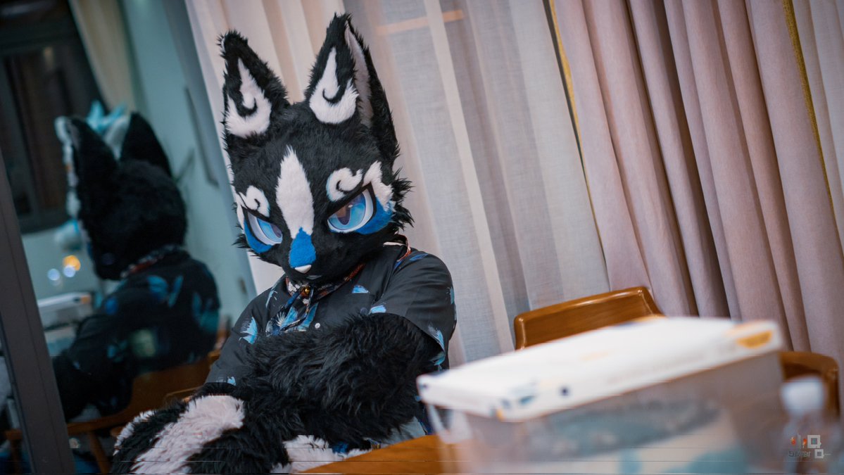 星效-Vulptex tweet media