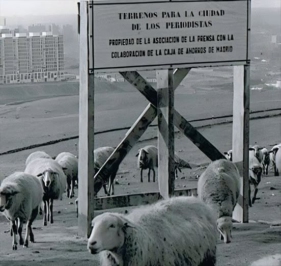 Ave Gar Sa tweet media