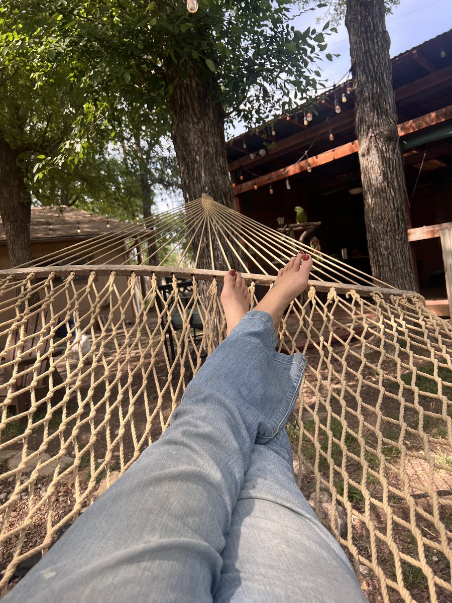 Texas Breakfast tweet media