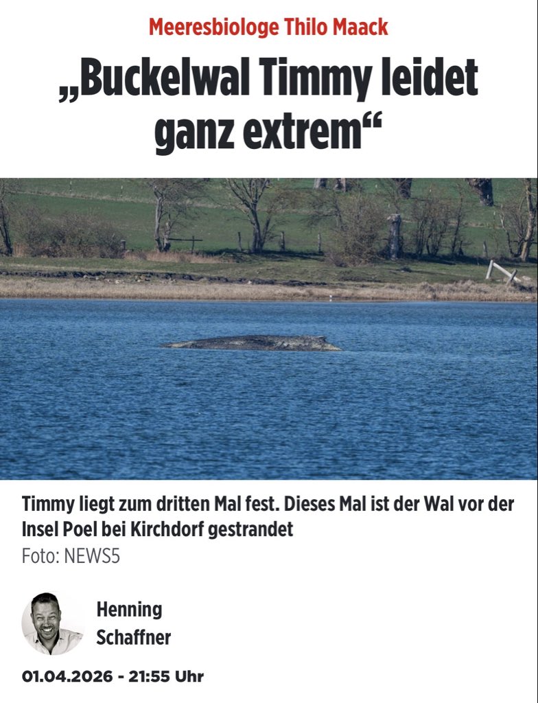 Michael 🇩🇪 tweet media