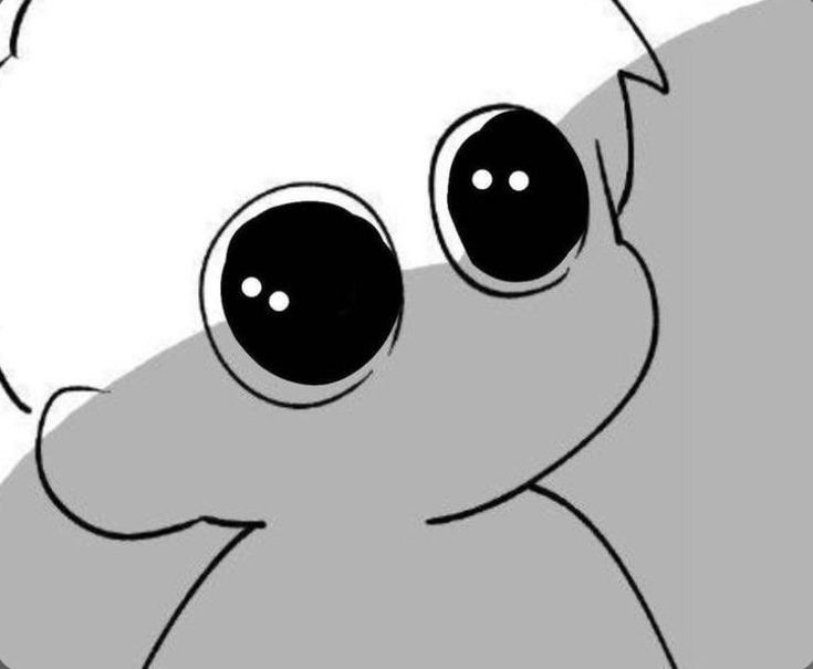 ak || ⁵ˢᵒˢ ☆ ˢᵏᶻ tweet media