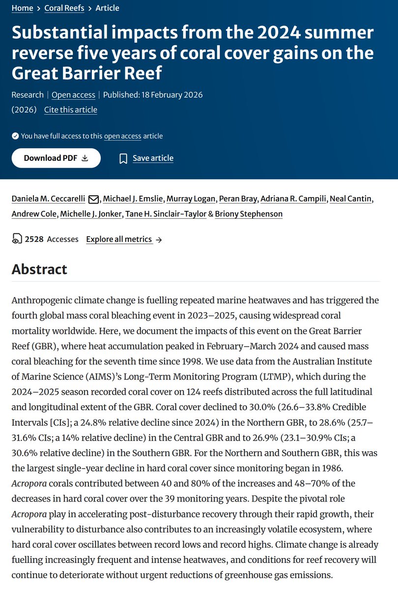 Indonesisches Bergwiesel tweet media