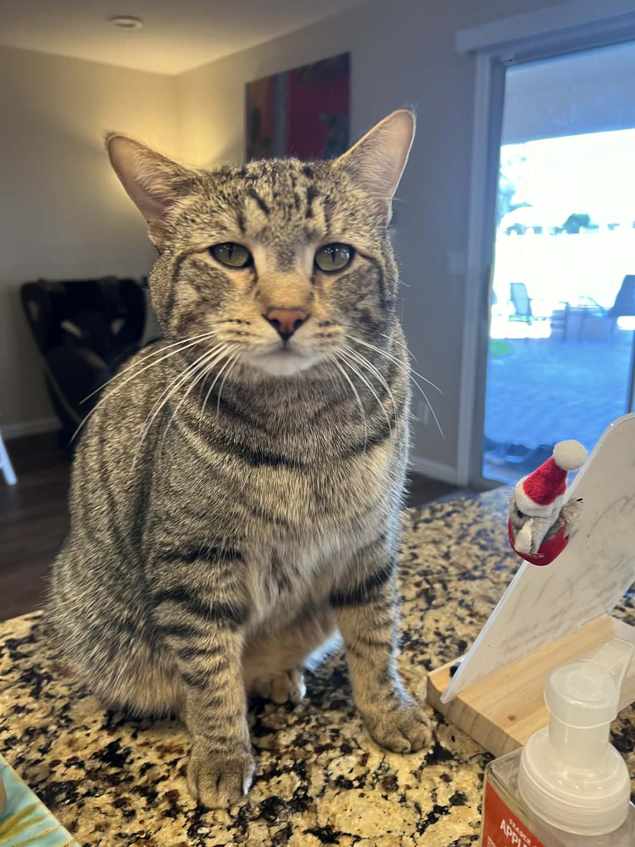 Sharrie Williams tweet media