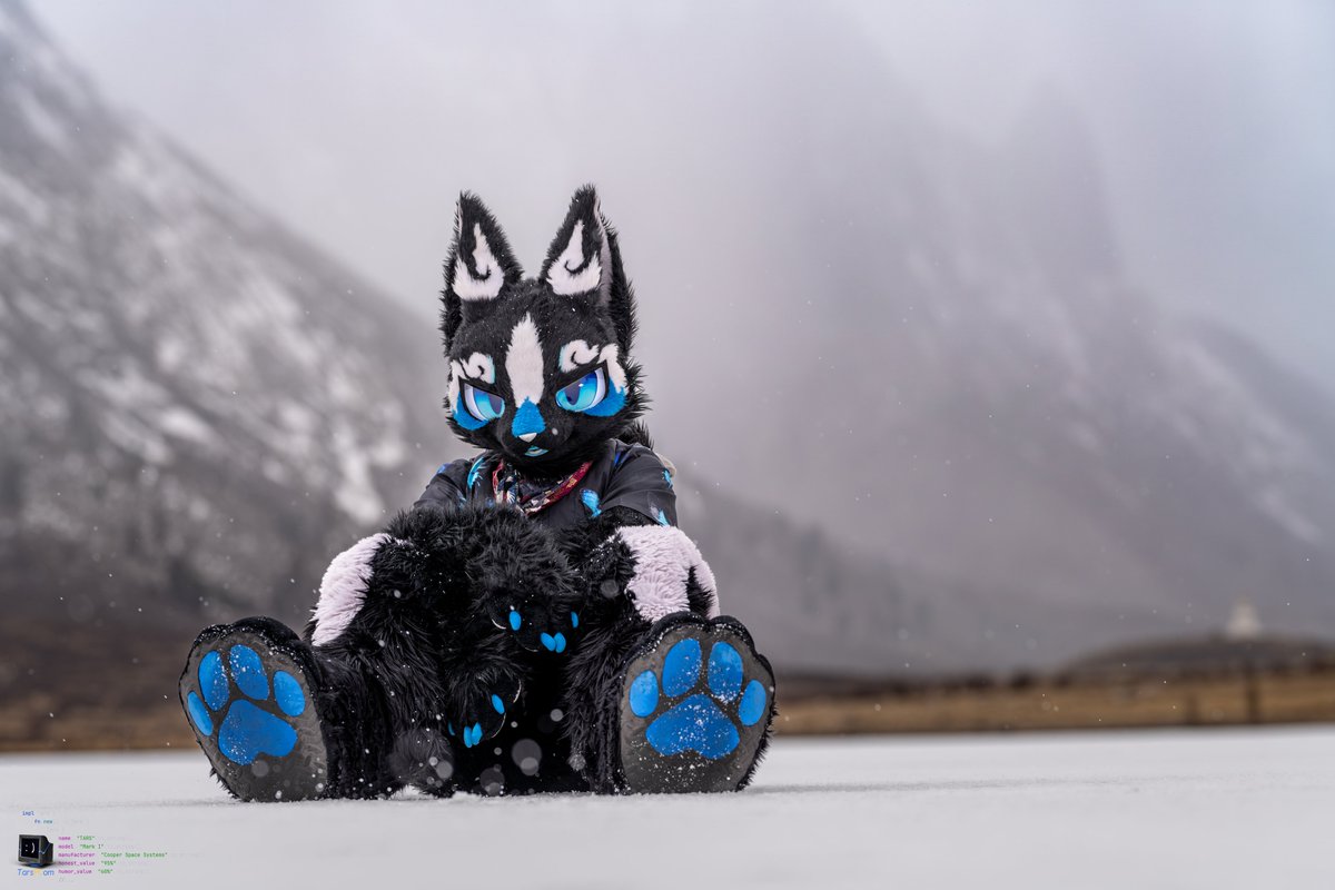 星效-Vulptex tweet media