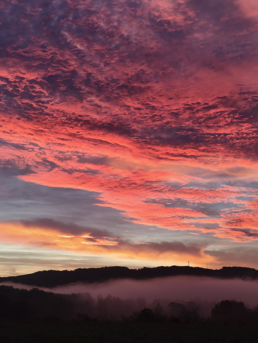 Pouet∞Pouet 👽 tweet media