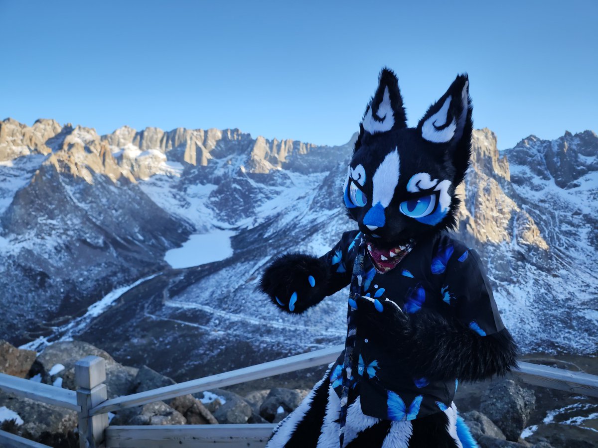 星效-Vulptex tweet media