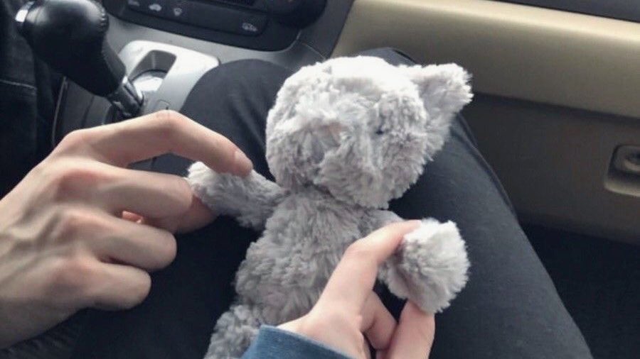 whitaker ՞ o̴̶̷̤ ̫ o̴̶̷̤ ՞ tweet media