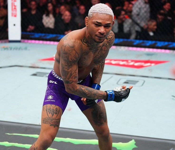 The Fight Fanatic tweet media