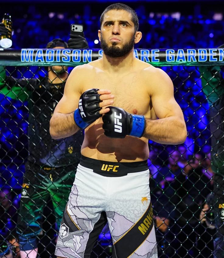 The Fight Fanatic tweet media