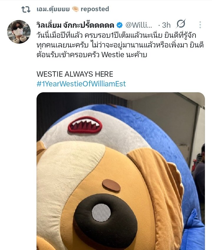 jane 🍓 tweet media