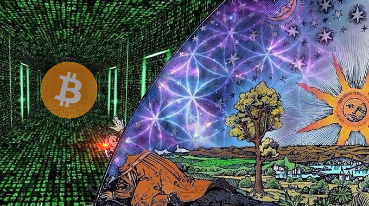 Tim Sae Koo tweet media