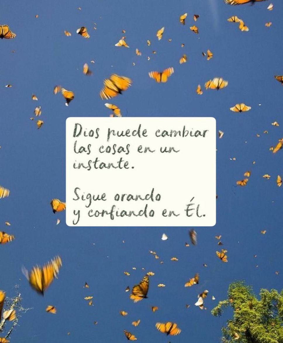 🌙 mini textos tweet media