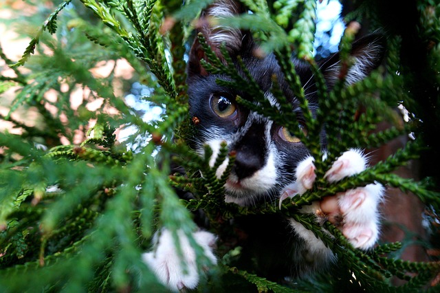 Duana Vaz tweet media