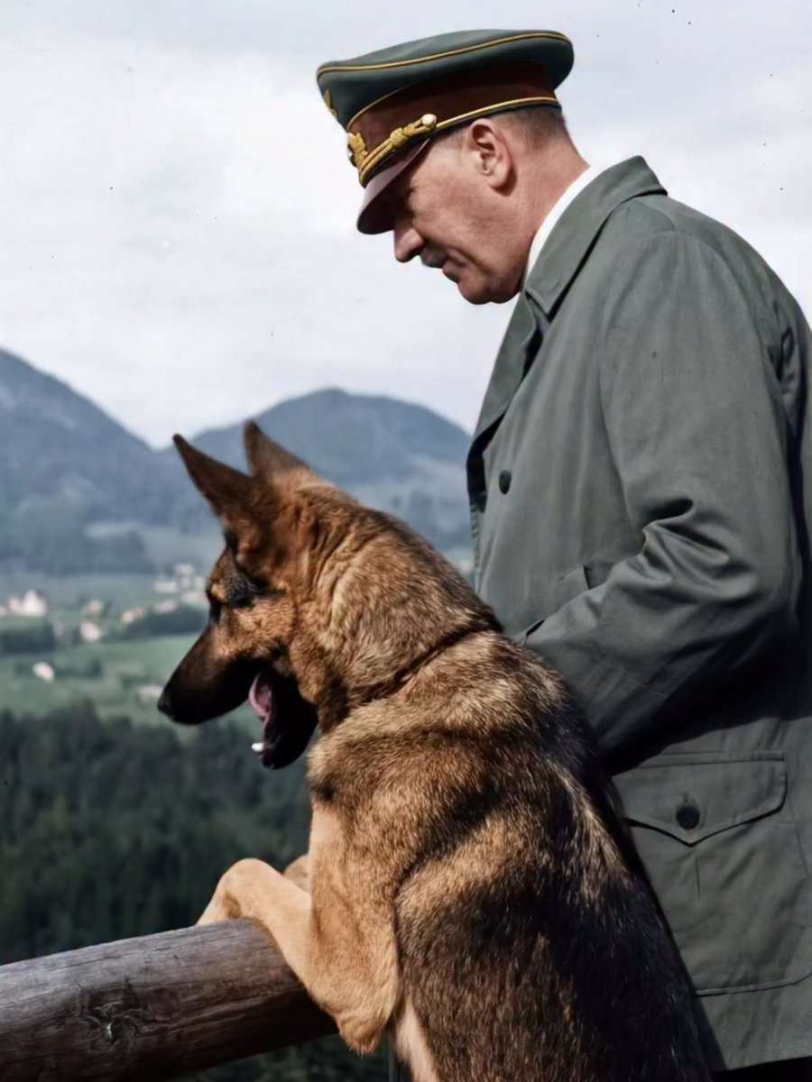 Space Cat Press tweet media