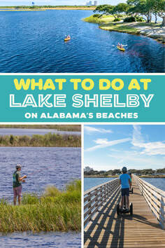 The Beach Life tweet media