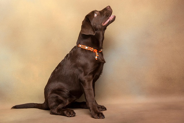 Steven Mendoza tweet media