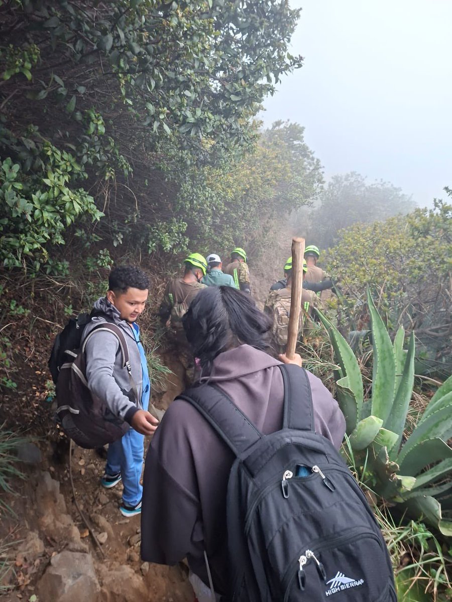 FUERZA ARMADA tweet media