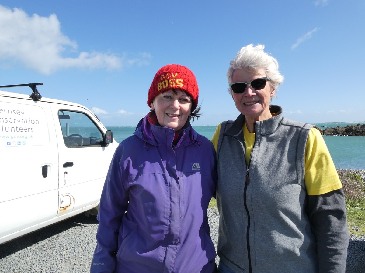 Guernsey Conservation Volunteers tweet media