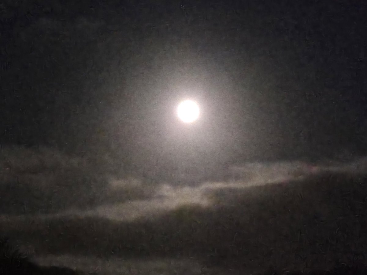 Lisa Southgate tweet media