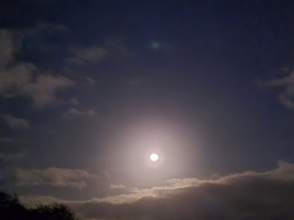 Lisa Southgate tweet media