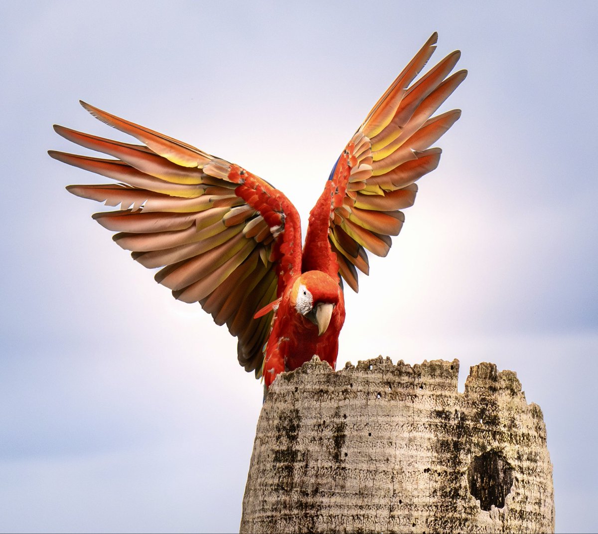 Lee Amber - Photography ☕️📸 tweet media