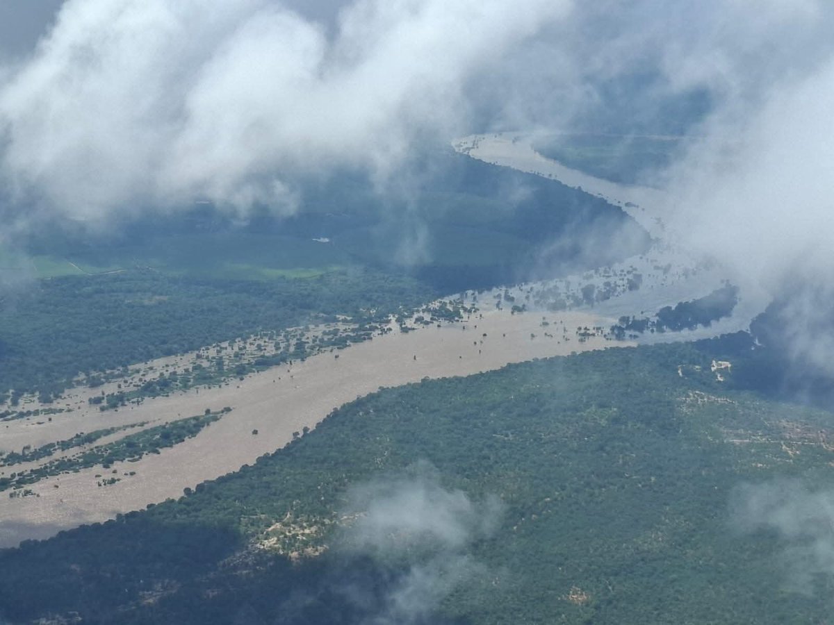 Charter Sights 🌺 tweet media