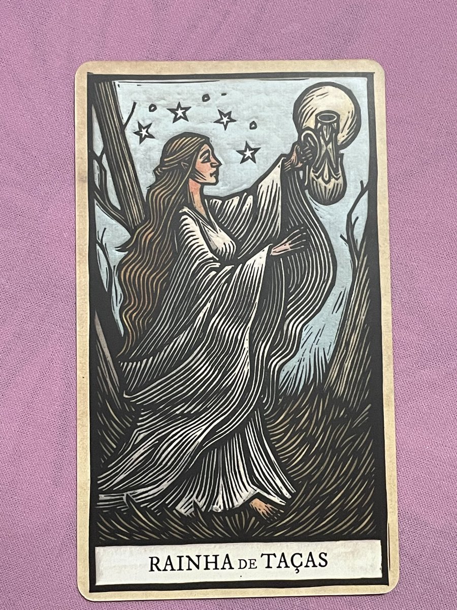 BB 🐺|📖 tweet media