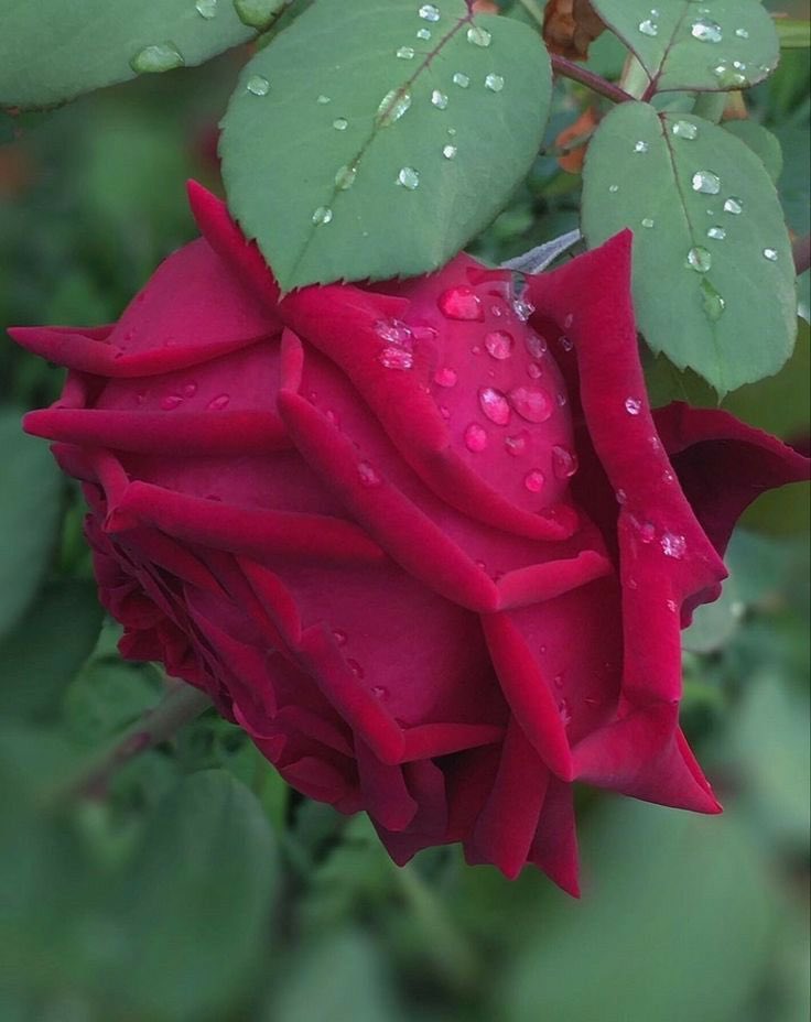 luna🌙✨✨ tweet media